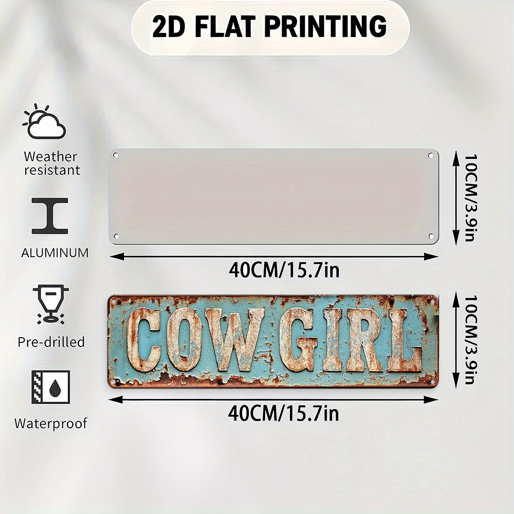 2D Metall-Cowgirl-Wandkunst –  – Home Decor Trends Bewertung und Preis
