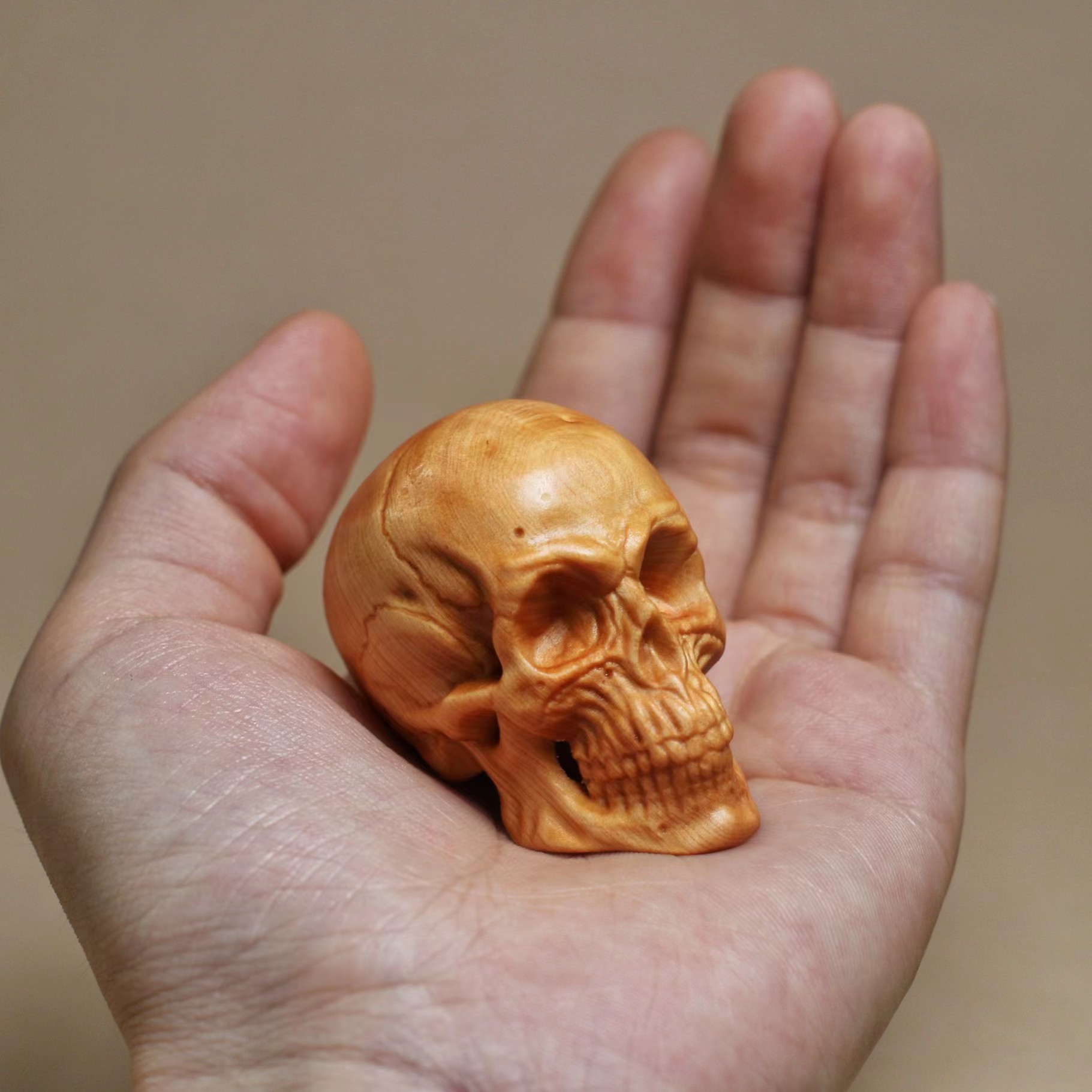 Halloween Dekoration Schädel F – Home Decor Ikea Bewertung und Preis